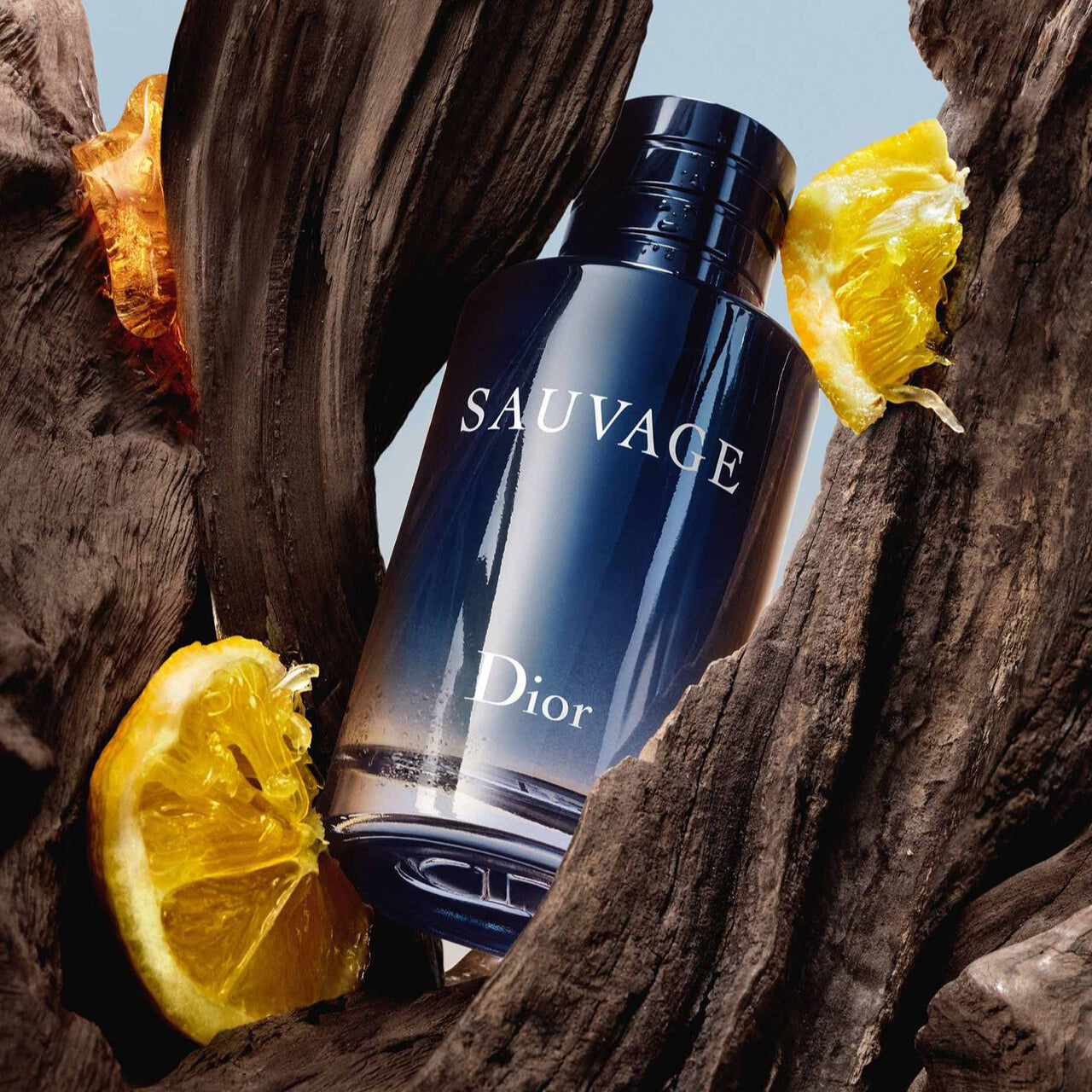 Sauvage Dior Eau De Perfume | Edp | Long Lasting Fragrance